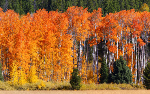 1243549 (a): :2560x1600
